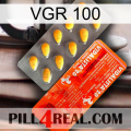 Vgr 100 new01